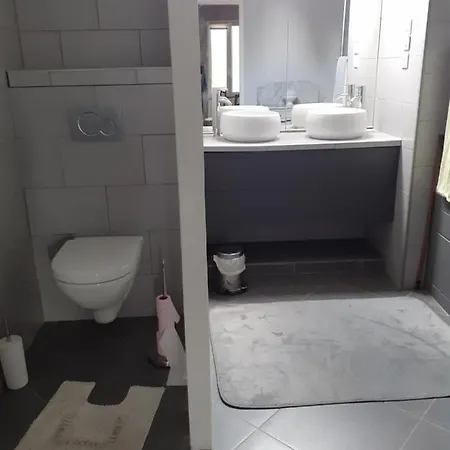 Grande D'hote Proche Disneyland Et Parc Des Felins Guérard